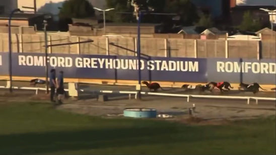 Fratton Bark